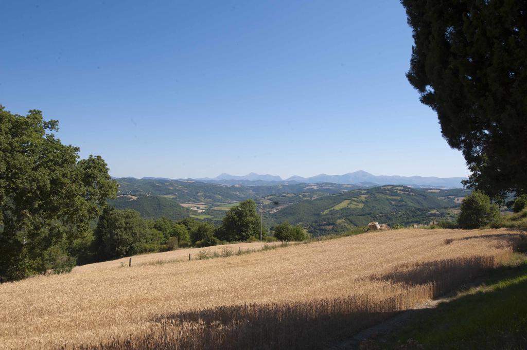 Agriturismo Tenuta Di Biscina מראה חיצוני תמונה