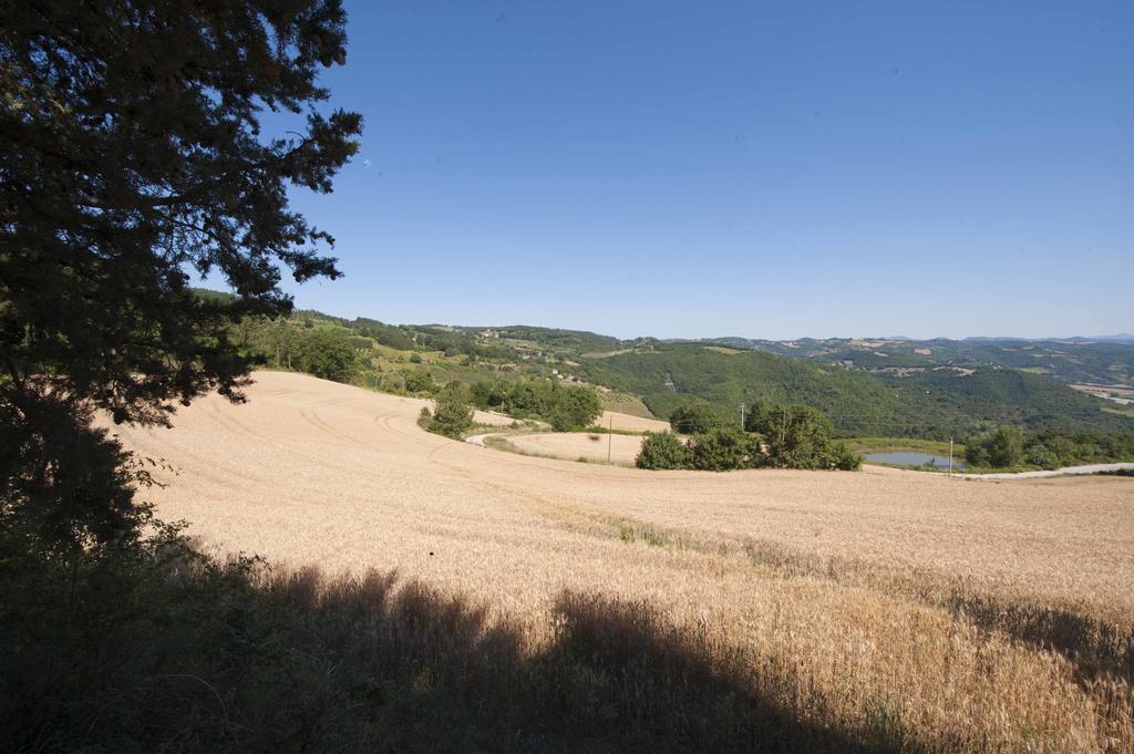 Agriturismo Tenuta Di Biscina מראה חיצוני תמונה