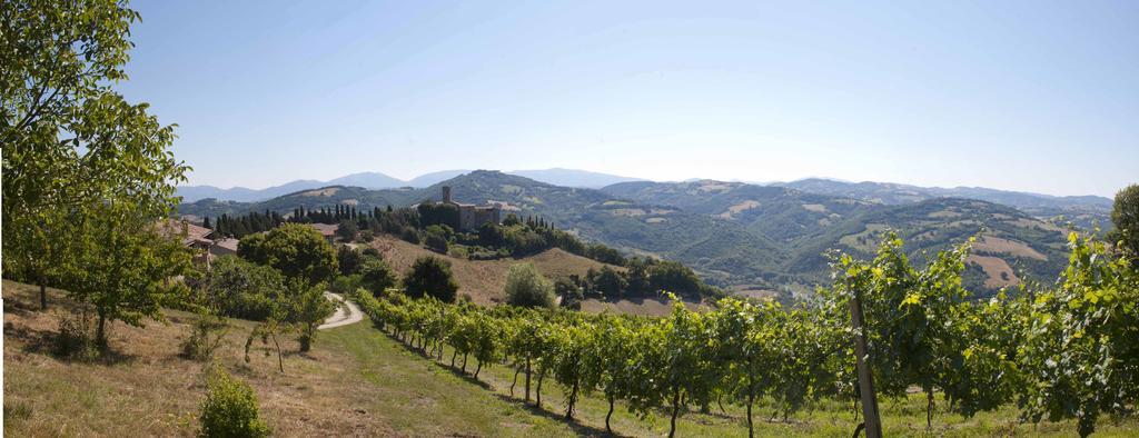 Agriturismo Tenuta Di Biscina מראה חיצוני תמונה