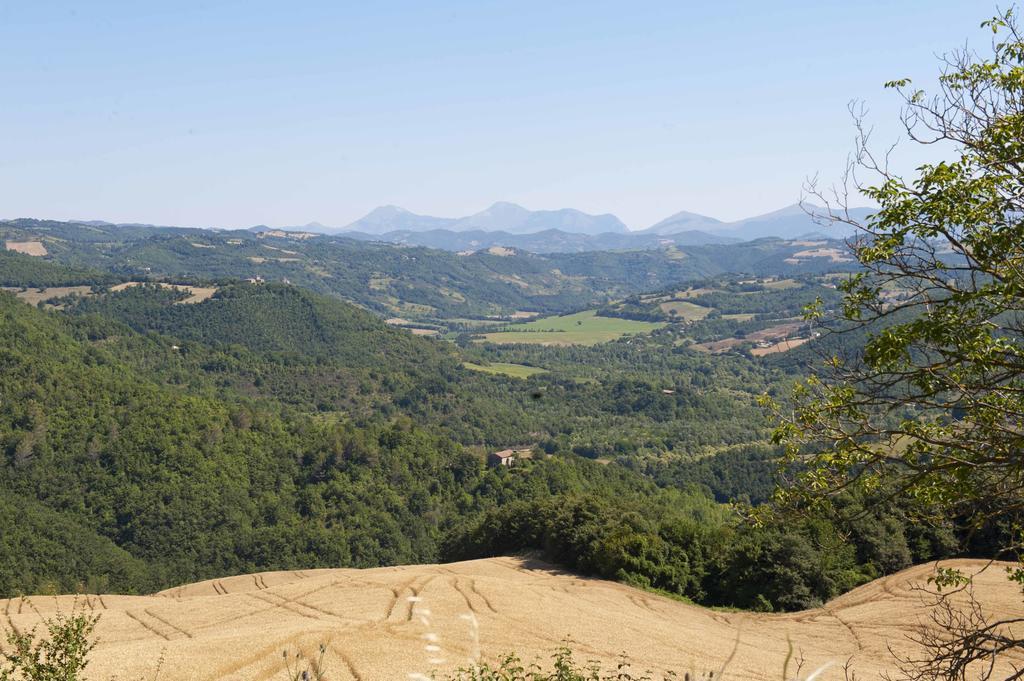 Agriturismo Tenuta Di Biscina מראה חיצוני תמונה