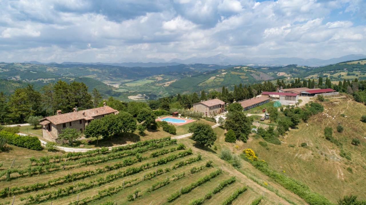 Agriturismo Tenuta Di Biscina מראה חיצוני תמונה